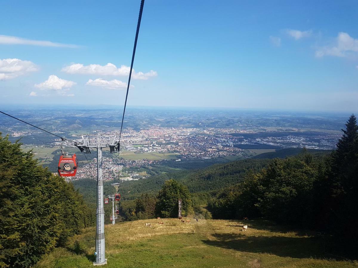 Bolfenk Apartment Hocko Pohorje Luaran gambar