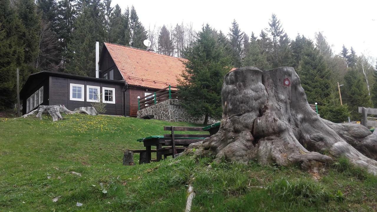 Bolfenk Apartment Hocko Pohorje Luaran gambar